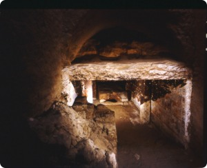 abydos-uni2.png